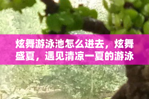炫舞游泳池怎么进去，炫舞盛夏，遇见清凉一夏的游泳池