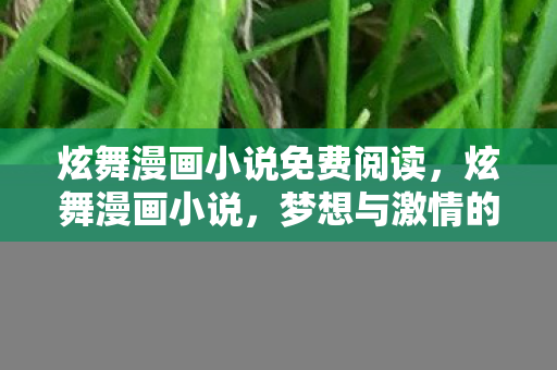 炫舞漫画小说免费阅读，炫舞漫画小说，梦想与激情的交织