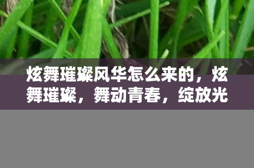 炫舞璀璨风华怎么来的,炫舞璀璨,舞动青春,绽放光彩 炫舞璀璨风华怎么来的,炫舞璀璨,舞动青春,绽放光彩