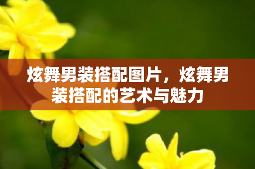 炫舞男装搭配图片,炫舞男装搭配的艺术与魅力 炫舞男装搭配图片,炫舞男装搭配的艺术与魅力