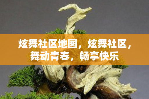 炫舞社区地图,炫舞社区,舞动青春,畅享快乐 炫舞社区地图,炫舞社区,舞动青春,畅享快乐