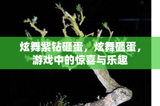 炫舞紫钻砸蛋,炫舞砸蛋,游戏中的惊喜与乐趣 炫舞紫钻砸蛋,炫舞砸蛋,游戏中的惊喜与乐趣