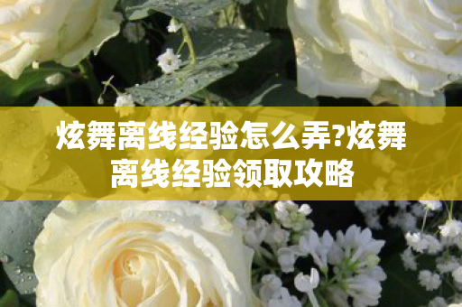 炫舞离线经验怎么弄?炫舞离线经验领取攻略 炫舞离线经验怎么弄?炫舞离线经验领取攻略