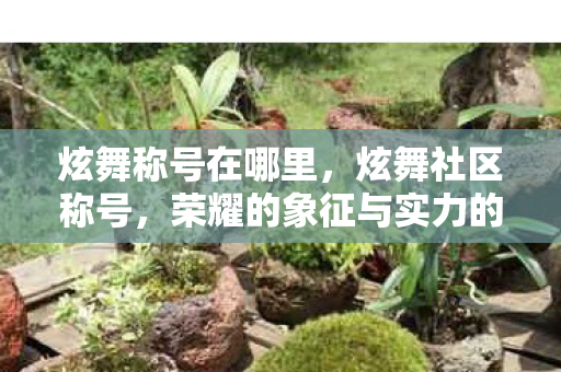 炫舞称号在哪里，炫舞社区称号，荣耀的象征与实力的展现