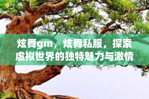 炫舞gm,炫舞私服,探索虚拟世界的独特魅力与激情 炫舞gm,炫舞私服,探索虚拟世界的独特魅力与激情