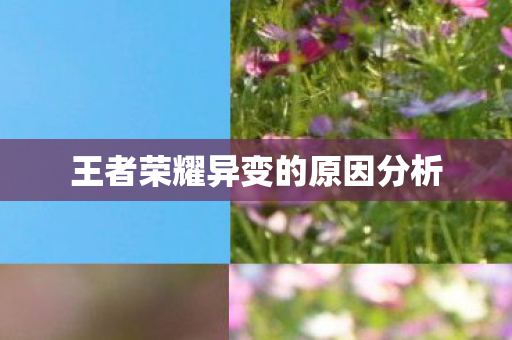 王者荣耀异变的原因分析 王者荣耀异变的原因分析