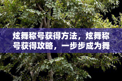 炫舞称号获得方法，炫舞称号获得攻略，一步步成为舞蹈大师
