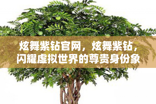 炫舞紫钻官网,炫舞紫钻,闪耀虚拟世界的尊贵身份象征 炫舞紫钻官网,炫舞紫钻,闪耀虚拟世界的尊贵身份象征