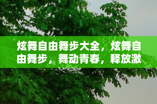 炫舞自由舞步大全,炫舞自由舞步,舞动青春,释放激情 炫舞自由舞步大全,炫舞自由舞步,舞动青春,释放激情