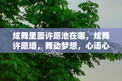 炫舞里面许愿池在哪,炫舞许愿墙,舞动梦想,心语心愿 炫舞里面许愿池在哪,炫舞许愿墙,舞动梦想,心语心愿