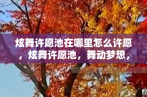 炫舞许愿池在哪里怎么许愿,炫舞许愿池,舞动梦想,心愿成真之地 炫舞许愿池在哪里怎么许愿,炫舞许愿池,舞动梦想,心愿成真之地