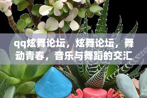 qq炫舞论坛，炫舞论坛，舞动青春，音乐与舞蹈的交汇之地