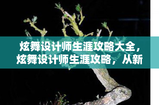 炫舞设计师生涯攻略大全，炫舞设计师生涯攻略，从新手到大师之路