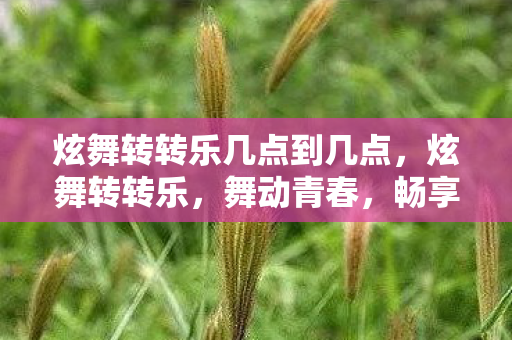 炫舞转转乐几点到几点,炫舞转转乐,舞动青春,畅享快乐音符的奇妙世界 炫舞转转乐几点到几点,炫舞转转乐,舞动青春,畅享快乐音符的奇妙世界