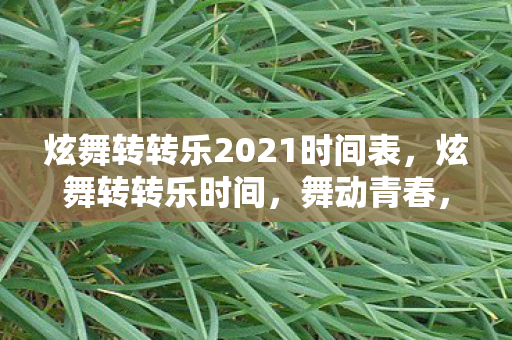 炫舞转转乐2021时间表,炫舞转转乐时间,舞动青春,尽享欢乐时光 炫舞转转乐2021时间表,炫舞转转乐时间,舞动青春,尽享欢乐时光