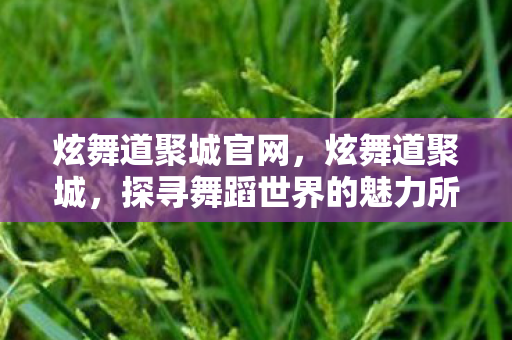 炫舞道聚城官网,炫舞道聚城,探寻舞蹈世界的魅力所在 炫舞道聚城官网,炫舞道聚城,探寻舞蹈世界的魅力所在