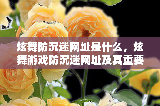 炫舞防沉迷网址是什么,炫舞游戏防沉迷网址及其重要性 炫舞防沉迷网址是什么,炫舞游戏防沉迷网址及其重要性