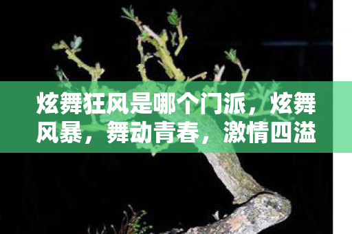 炫舞狂风是哪个门派,炫舞风暴,舞动青春,激情四溢的舞蹈世界 炫舞狂风是哪个门派,炫舞风暴,舞动青春,激情四溢的舞蹈世界