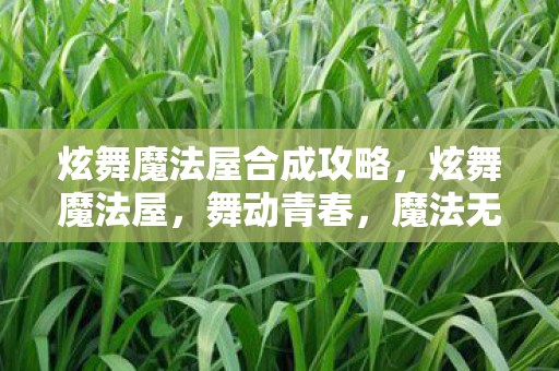 炫舞魔法屋合成攻略,炫舞魔法屋,舞动青春,魔法无限 炫舞魔法屋合成攻略,炫舞魔法屋,舞动青春,魔法无限
