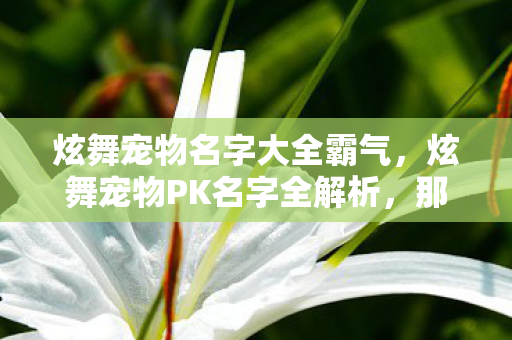 炫舞宠物名字大全霸气,炫舞宠物PK名字全解析,那些让人热血沸腾的命名背后的故事 炫舞宠物名字大全霸气,炫舞宠物PK名字全解析,那些让人热血沸腾的命名背后的故事