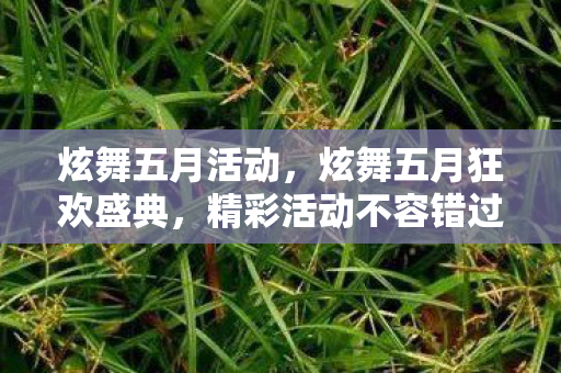 炫舞五月活动,炫舞五月狂欢盛典,精彩活动不容错过! 炫舞五月活动,炫舞五月狂欢盛典,精彩活动不容错过!