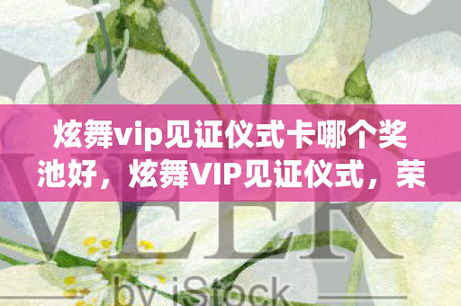 炫舞vip见证仪式卡哪个奖池好,炫舞VIP见证仪式,荣耀与激情的盛宴 炫舞vip见证仪式卡哪个奖池好,炫舞VIP见证仪式,荣耀与激情的盛宴