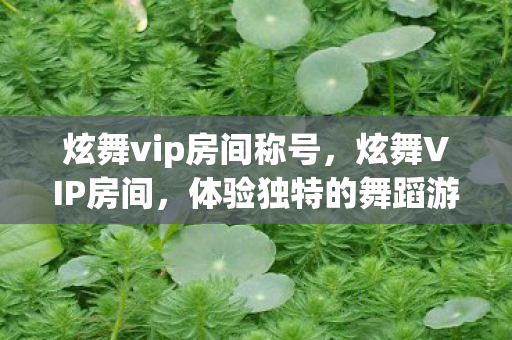 炫舞vip房间称号,炫舞VIP房间,体验独特的舞蹈游戏特权 炫舞vip房间称号,炫舞VIP房间,体验独特的舞蹈游戏特权