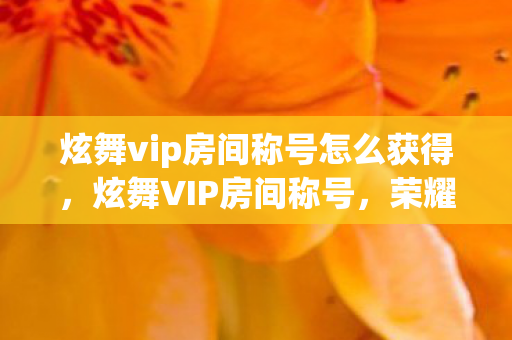 炫舞vip房间称号怎么获得,炫舞VIP房间称号,荣耀与独特的象征 炫舞vip房间称号怎么获得,炫舞VIP房间称号,荣耀与独特的象征