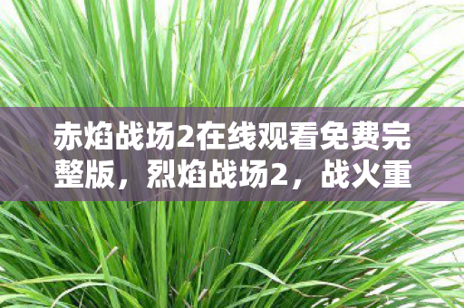 赤焰战场2在线观看免费完整版,烈焰战场2,战火重燃 赤焰战场2在线观看免费完整版,烈焰战场2,战火重燃