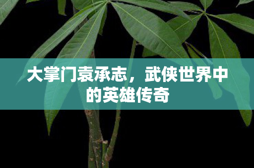 大掌门袁承志,武侠世界中的英雄传奇 大掌门袁承志,武侠世界中的英雄传奇