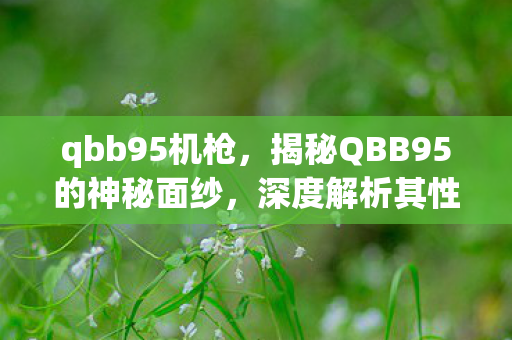 qbb95机枪,揭秘QBB95的神秘面纱,深度解析其性能特点与实际应用 qbb95机枪,揭秘QBB95的神秘面纱,深度解析其性能特点与实际应用
