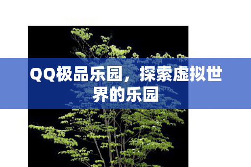 QQ极品乐园,探索虚拟世界的乐园 QQ极品乐园,探索虚拟世界的乐园