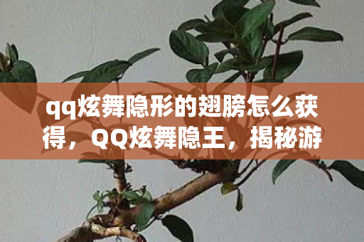 qq炫舞隐形的翅膀怎么获得,QQ炫舞隐王,揭秘游戏中的王者之路 qq炫舞隐形的翅膀怎么获得,QQ炫舞隐王,揭秘游戏中的王者之路