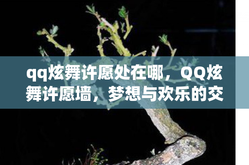 qq炫舞许愿处在哪,QQ炫舞许愿墙,梦想与欢乐的交汇之地 qq炫舞许愿处在哪,QQ炫舞许愿墙,梦想与欢乐的交汇之地