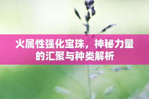 火属性强化宝珠,神秘力量的汇聚与种类解析 火属性强化宝珠,神秘力量的汇聚与种类解析