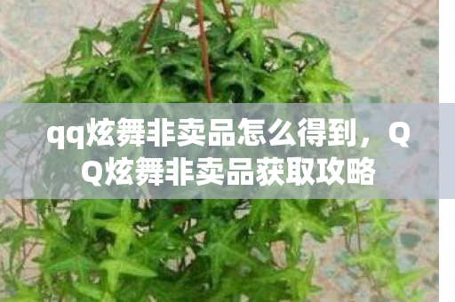 qq炫舞非卖品怎么得到,QQ炫舞非卖品获取攻略 qq炫舞非卖品怎么得到,QQ炫舞非卖品获取攻略
