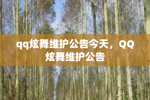qq炫舞维护公告今天,QQ炫舞维护公告 qq炫舞维护公告今天,QQ炫舞维护公告