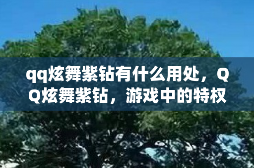 qq炫舞紫钻有什么用处,QQ炫舞紫钻,游戏中的特权与荣耀 qq炫舞紫钻有什么用处,QQ炫舞紫钻,游戏中的特权与荣耀