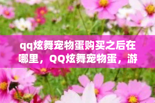 qq炫舞宠物蛋购买之后在哪里,QQ炫舞宠物蛋,游戏新宠物的神秘世界探索 qq炫舞宠物蛋购买之后在哪里,QQ炫舞宠物蛋,游戏新宠物的神秘世界探索