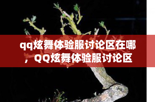 qq炫舞体验服讨论区在哪,QQ炫舞体验服讨论区 qq炫舞体验服讨论区在哪,QQ炫舞体验服讨论区