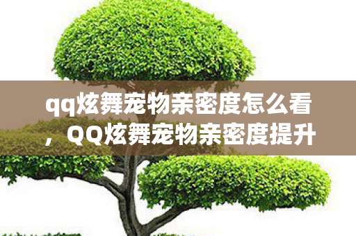 qq炫舞宠物亲密度怎么看,QQ炫舞宠物亲密度提升攻略大揭秘 qq炫舞宠物亲密度怎么看,QQ炫舞宠物亲密度提升攻略大揭秘