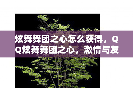 炫舞舞团之心怎么获得,QQ炫舞舞团之心,激情与友情的交响乐章 炫舞舞团之心怎么获得,QQ炫舞舞团之心,激情与友情的交响乐章