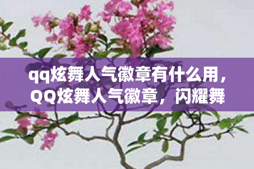 qq炫舞人气徽章有什么用,QQ炫舞人气徽章,闪耀舞界的荣耀象征 qq炫舞人气徽章有什么用,QQ炫舞人气徽章,闪耀舞界的荣耀象征