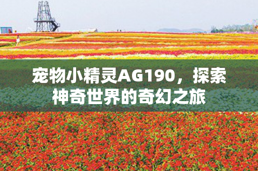 宠物小精灵AG190,探索神奇世界的奇幻之旅 宠物小精灵AG190,探索神奇世界的奇幻之旅