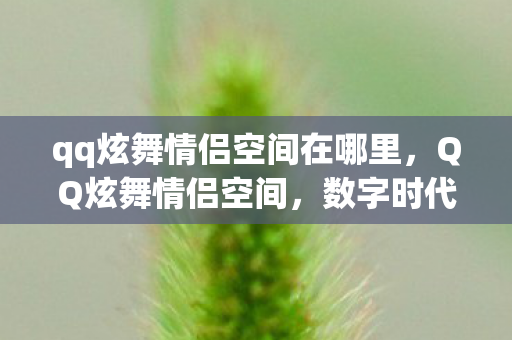 qq炫舞情侣空间在哪里,QQ炫舞情侣空间,数字时代的虚拟浪漫领地 qq炫舞情侣空间在哪里,QQ炫舞情侣空间,数字时代的虚拟浪漫领地