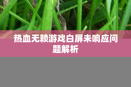 热血无赖游戏白屏未响应问题解析 热血无赖游戏白屏未响应问题解析