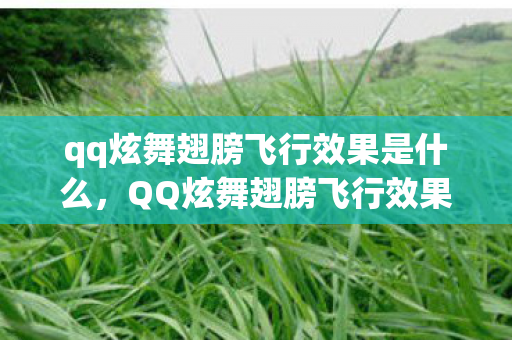 qq炫舞翅膀飞行效果是什么,QQ炫舞翅膀飞行效果,梦幻般的视觉盛宴 qq炫舞翅膀飞行效果是什么,QQ炫舞翅膀飞行效果,梦幻般的视觉盛宴