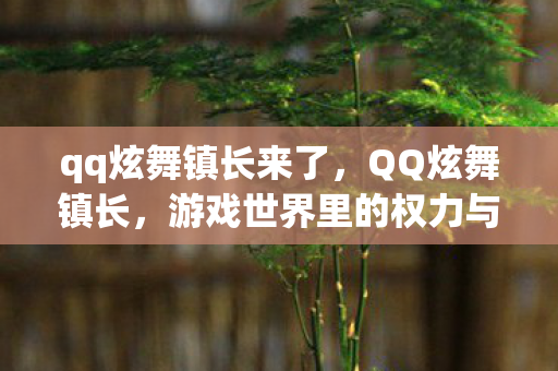 qq炫舞镇长来了,QQ炫舞镇长,游戏世界里的权力与荣耀 qq炫舞镇长来了,QQ炫舞镇长,游戏世界里的权力与荣耀