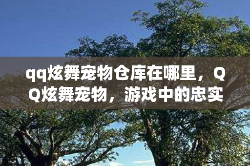 qq炫舞宠物仓库在哪里,QQ炫舞宠物,游戏中的忠实伙伴与成长助手 qq炫舞宠物仓库在哪里,QQ炫舞宠物,游戏中的忠实伙伴与成长助手
