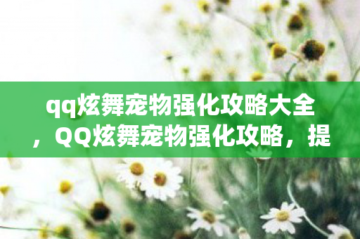 qq炫舞宠物强化攻略大全,QQ炫舞宠物强化攻略,提升宠物实力,轻松游戏畅享舞力全开! qq炫舞宠物强化攻略大全,QQ炫舞宠物强化攻略,提升宠物实力,轻松游戏畅享舞力全开!